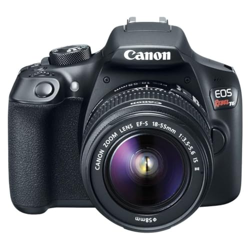 best dslr camera under 300 dollars