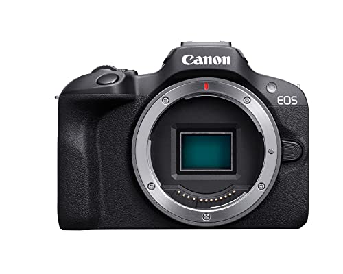 best mirrorless camera under 500 dollars