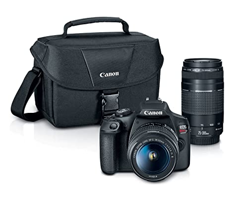 best dslr camera for videography and photography