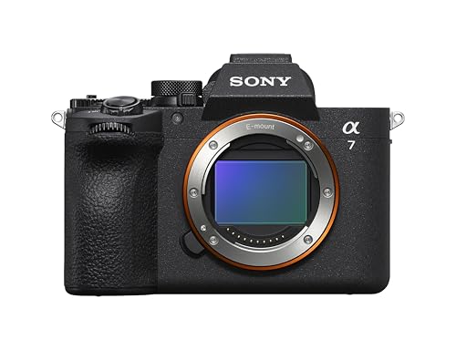 best new mirrorless camera