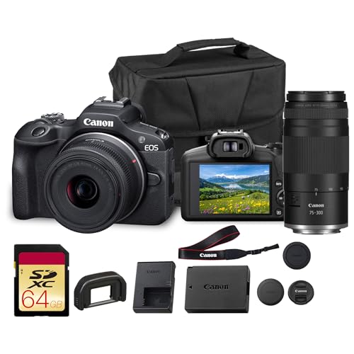 best mirrorless camera under 400
