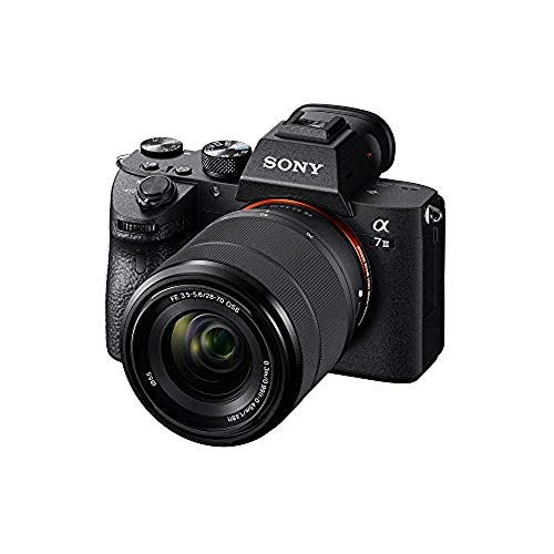 best mirrorless camera budget