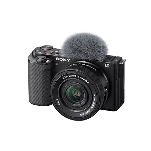 best sony mirrorless camera for beginners