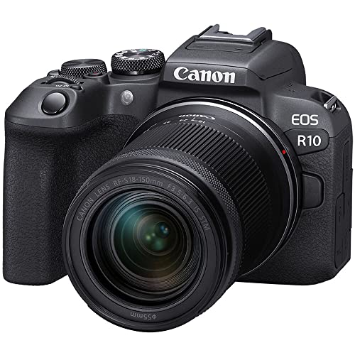 best mirrorless camera for shooting video