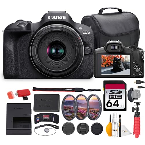 best mirrorless camera for travel video